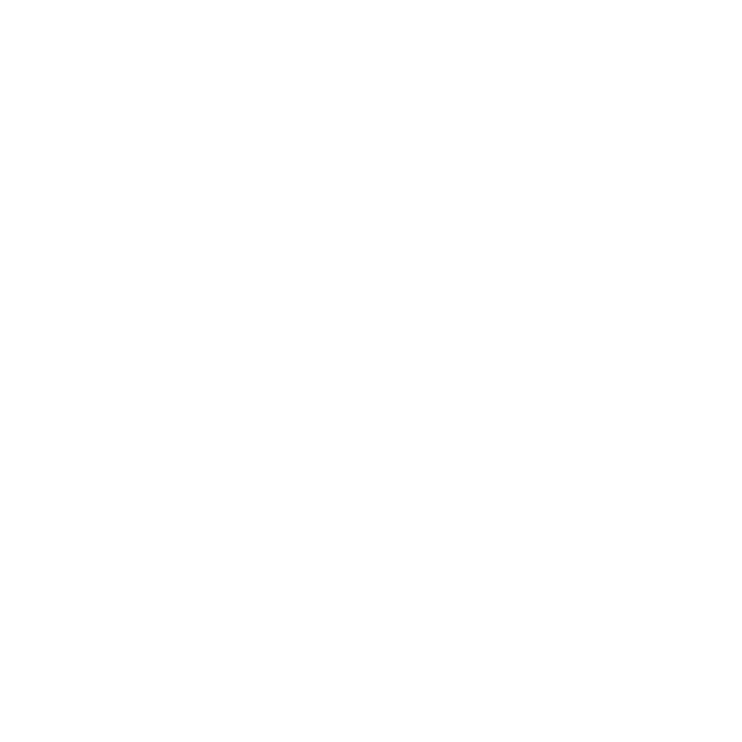 Layer